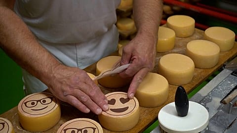 Emojis on wheels of cheese
