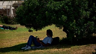 Az árnyékkal és vízforrásokkal rendelkező helyek ideálisak arra, hogy éghajlati menedékhelyként ismerjék el őket.