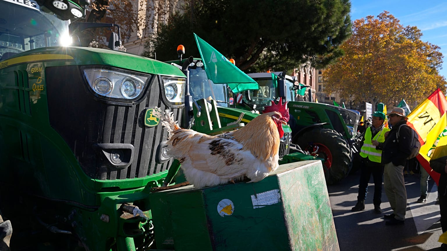 Una gallina sobre un tractor en una protesta de agricultores por el acuerdo comercial entre la UE y el Mercosur frente al Ministerio de Agricultura en Madrid, en 2024.