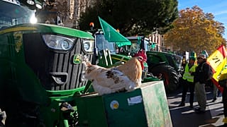 Una gallina sobre un tractor en una protesta de agricultores por el acuerdo comercial entre la UE y el Mercosur frente al Ministerio de Agricultura en Madrid, en 2024.