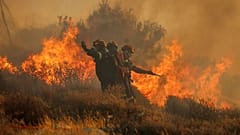 Feuerwehrleute versuchen mit einem Schlauch, den Brand in der Nähe der Stadt Lerapetra an der Südküste der Insel Kreta (Griechenland, 3. Juli) zu löschen. 
