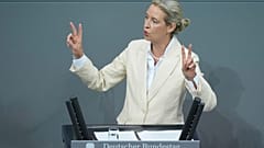 Alice Weidel, Co-Vorsitzende der Alternative für Deutschland (AfD), am 9. Juli im Bundestag 