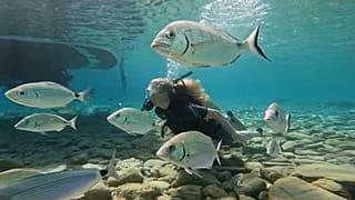 O lado eco-luxuoso de Bodrum: resorts de golfe, cruzeiros de ioga em gulets e aventuras subaquáticas