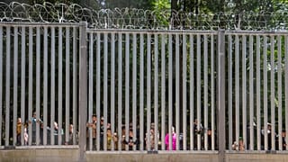 Des migrants demandant l'asile à la frontière polonaise avec le Belarus