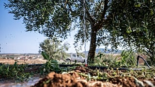 L'étude met en évidence la façon dont les hausses de prix des denrées alimentaires dues au climat peuvent aggraver les risques pour la santé publique et les troubles sociaux. 