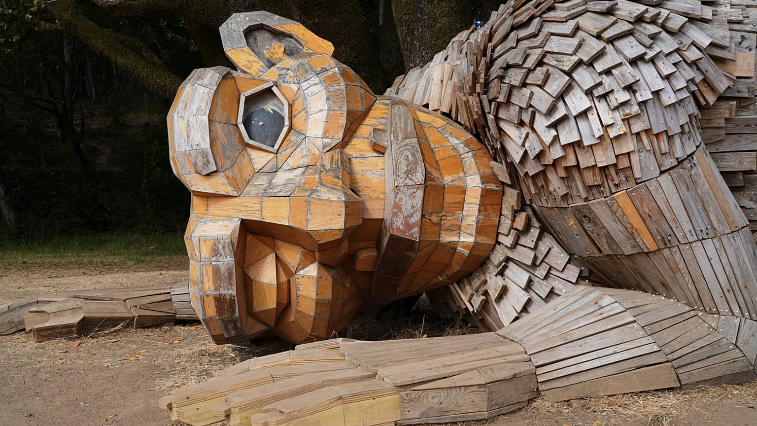 Una escultura gigante creada por el artista danés Thomas Dambo y su equipo se exhibe en la histórica finca Filoli, el sábado 5 de julio de 2025, en Woodside, California