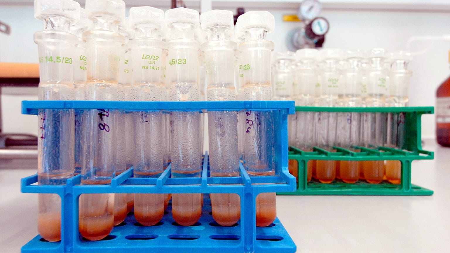 Almanya'nın doğusundaki Kreischa'da bulunan doping analizi ve spor biyokimyası enstitüsündeki bir laboratuvarda mühürlenmiş idrar örnekleri dururken, 23 Ağustos 2006.