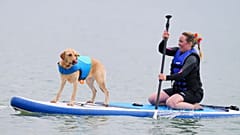 Jo und Tarni treten beim Dog Masters Festival an