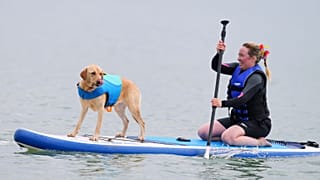 Jo y Tarni compiten en el Festival Dog Masters