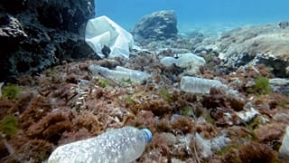 Caça aos microplásticos: Cientistas franceses lançam o alerta sobre a poluição por plásticos