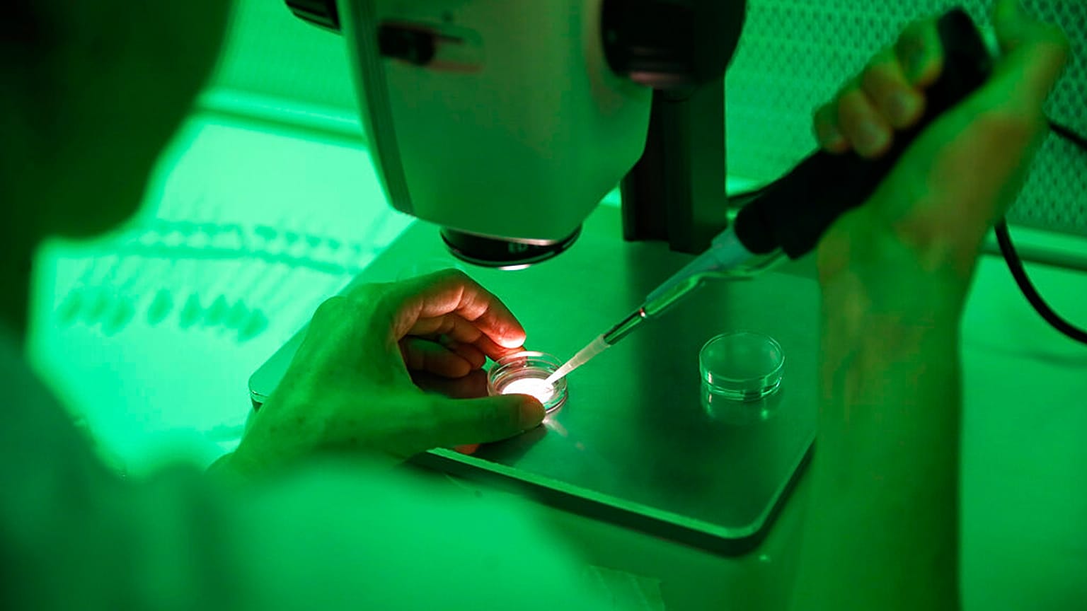 Laboratorio di ricerca