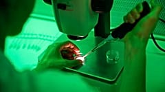 Laboratorio de investigación