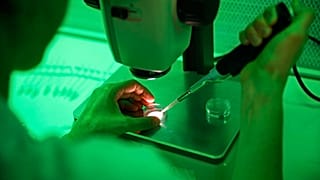 Laboratorio de investigación