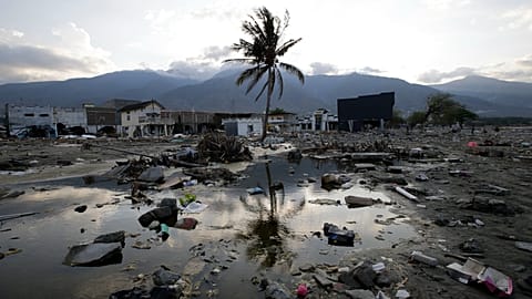 Un árbol entre los escombros de las estructuras que fueron destruidas después de que un terremoto y tsunami azotaran Palu, Indonesia, el 4 de octubre de 2018.
