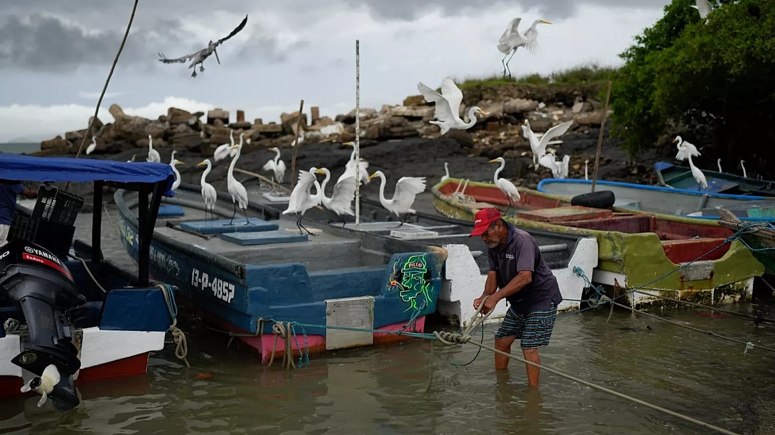 A fisherman ties his boat near the shore in Panama as a precaution due to a tsunami warning, 30 July, 2025