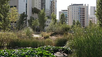 Durchlässige Böden und riesige Tunnels: Lissabon wird zur „Schwammstadt“