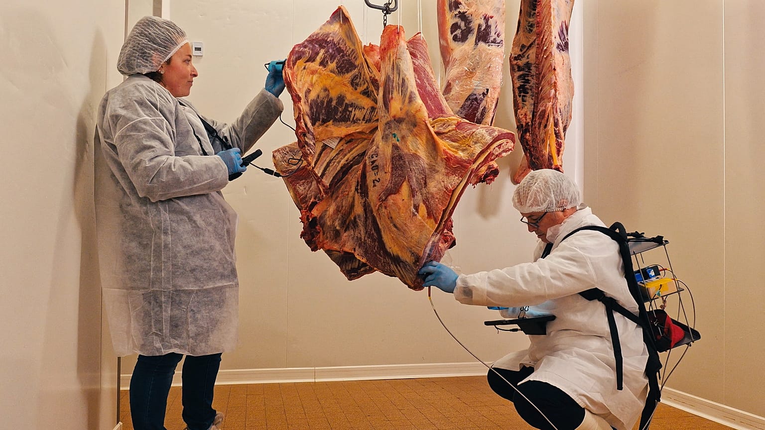 Donato Andueza tests a beef carcass