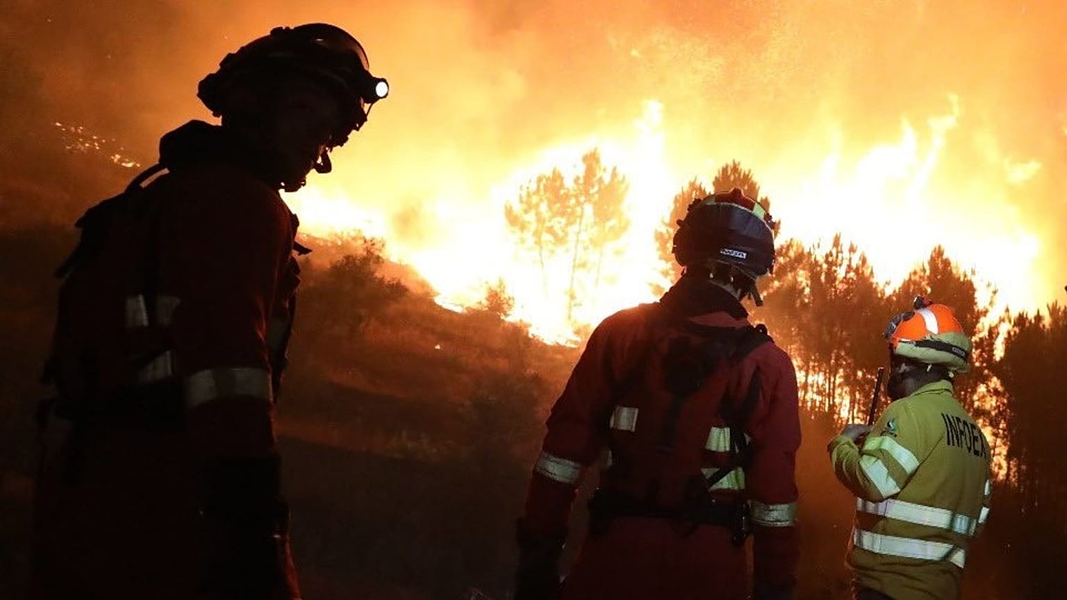 Fire and EMU teams checking the spread of the fires.