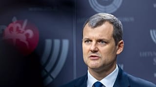 El Primer Ministro de Lituania, Gintautas Paluckas, habla con los medios de comunicación en el Parlamento de Vilnius, 21 de noviembre de 2024.