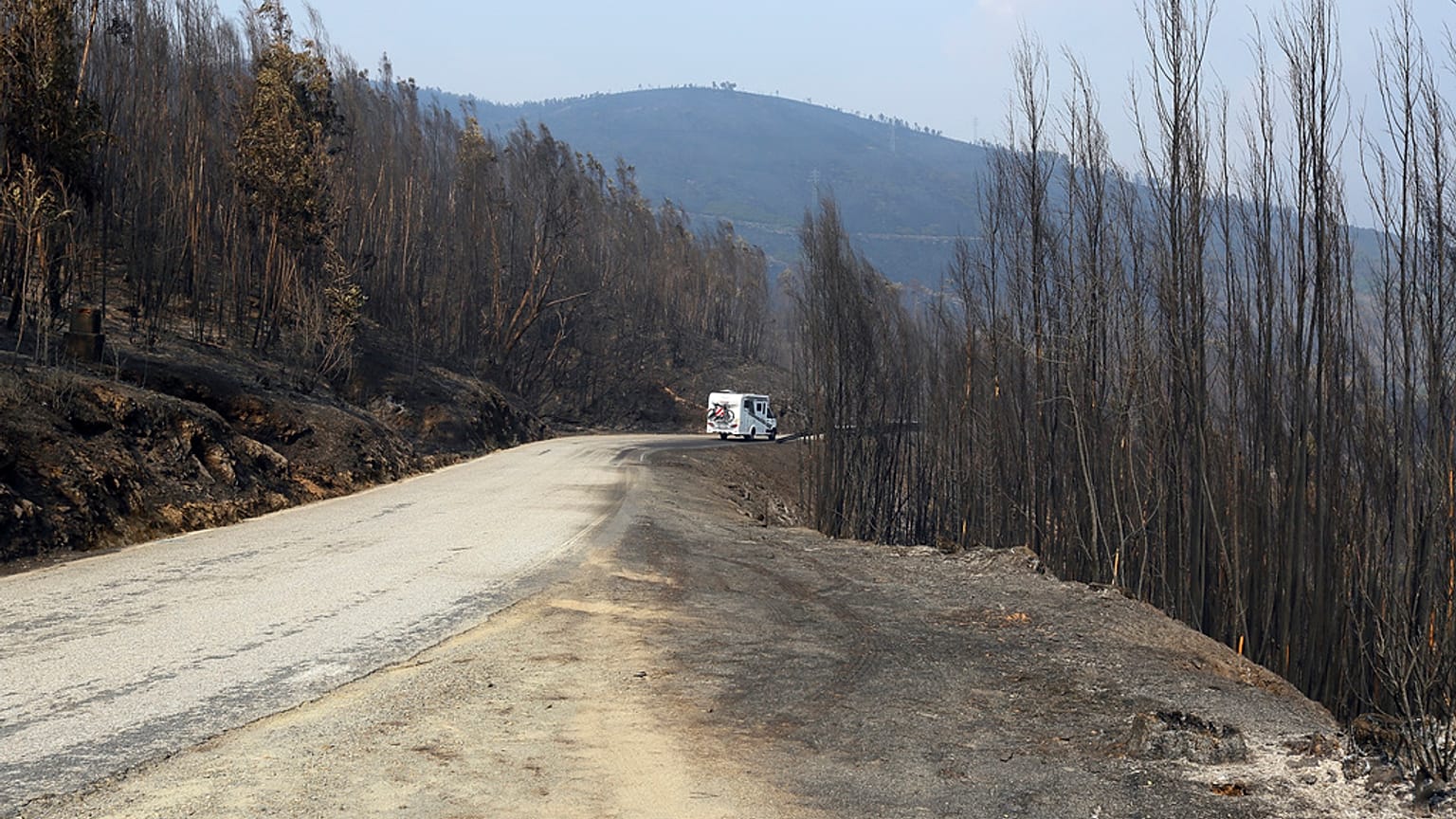 Una foresta bruciata su una strada nei pressi di Castro Daire, una delle aree del Portogallo settentrionale più colpite dagli incendi boschivi del settembre 2024
