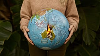 Here's how climate disinformation is spread around the world. 