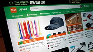 Una página del sitio web de Temu