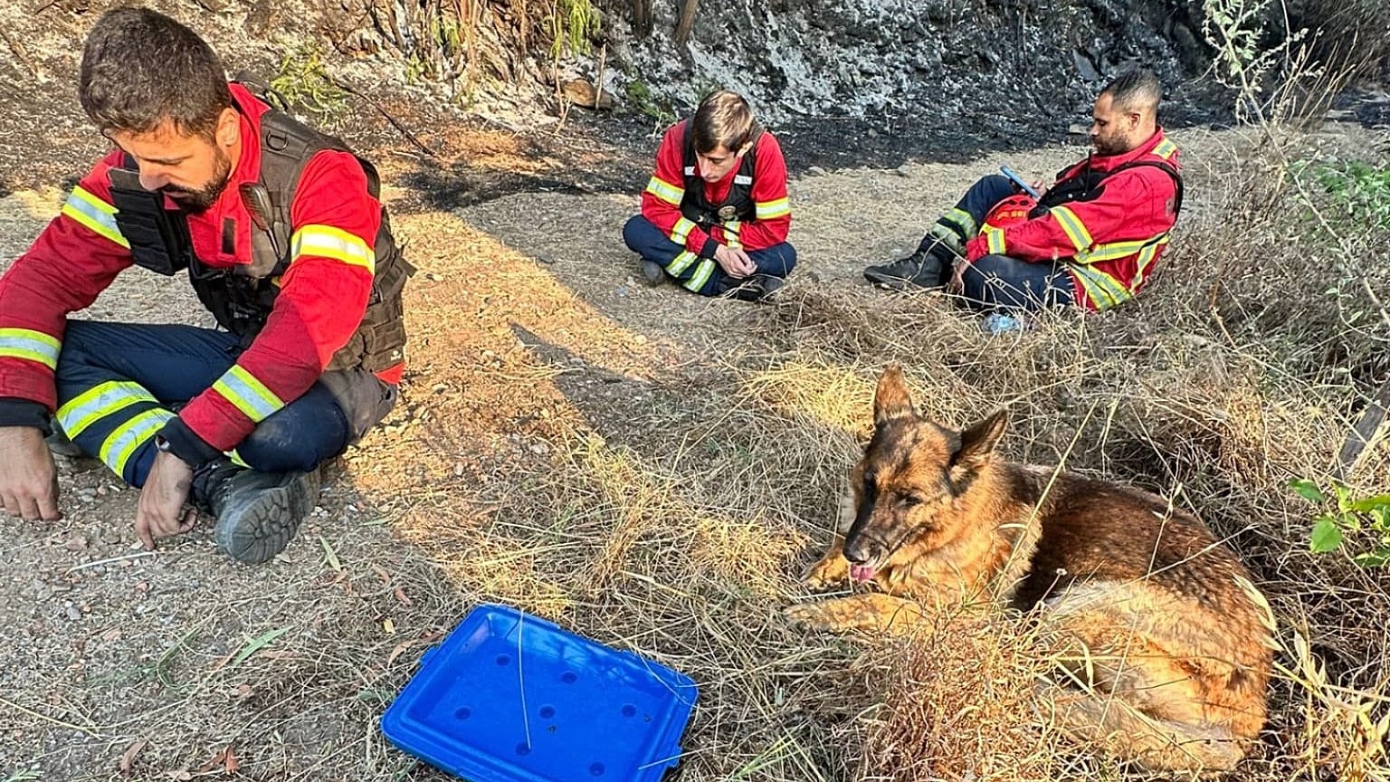 Associação Humanitária dos Bombeiros Voluntários da Trofa