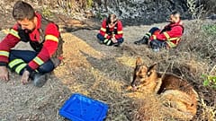 Humanitäre Vereinigung der Freiwilligen Feuerwehr von Trofa