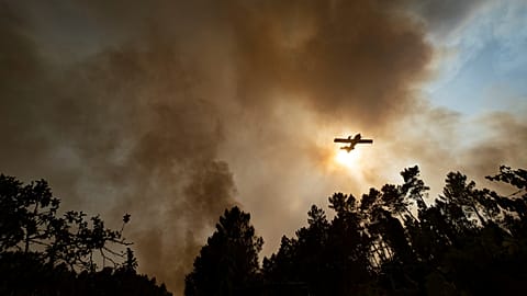 Fires in Portugal - archive photo