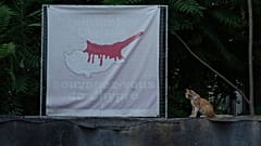 Κύπρος