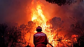 ARQUIVO (29/08/2013): Um bombeiro português trabalha para apagar um incêndio florestal perto do Caramulo, no norte de Portugal
