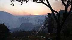 Altas temperaturas e risco elevado de incêndio colocaram Portugal em alerta