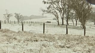 Horses in snowy fields, Ebor, Australia, 2 August, 2025.