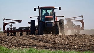 Os grãos de soja são plantados a 8 de maio de 2025 perto de Waverly, Minnesota.