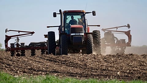 Soybeans are planted on 8 May 2025 near Waverly, Minnesota.