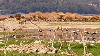 بیابان‌زایی در ترکیه