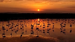 Pôr do sol sobre o Lago Van com flamingos