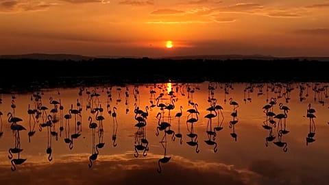 Sunset over Lake Van with flamingos