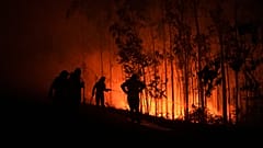 Archivbild. Feuerwehrleute kämpfen gegen einen Brand im Gebiet Fuente de Faro de Brantuas bei Ponteceso im Nordwesten Spaniens. Aufnahme vom dritten August 2025.
