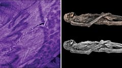 Revelan tatuajes de 2.000 años de antigüedad en una momia siberiana