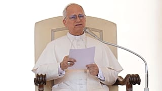 Papa 14. Leo