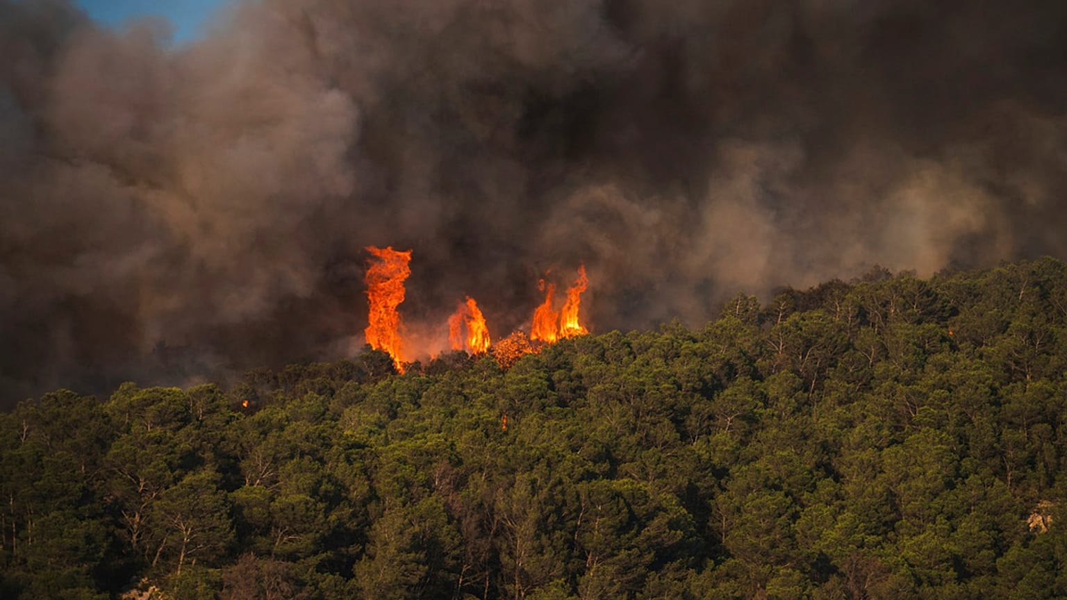 As chamas de um incêndio florestal em rápida expansão numa região mediterrânica de França, perto da fronteira espanhola, são fotografadas na terça-feira, 5 de agosto de 2025.