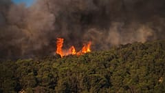As chamas de um incêndio florestal em rápida expansão numa região mediterrânica de França, perto da fronteira espanhola, são fotografadas na terça-feira, 5 de agosto de 2025.
