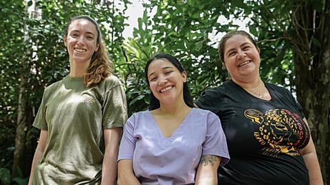 Watch: The wildlife sanctuary rescuing animals in Costa Rica