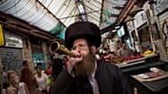 Haredi aktivista