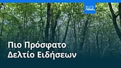 Ειδήσεις | 7 Αυγούστου 2025 - Βραδινό δελτίο