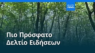 Ειδήσεις | 7 Αυγούστου 2025 - Βραδινό δελτίο