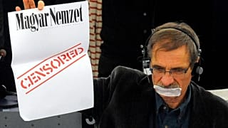 Депутат Европарламента от Франции Жан-Поль Бессе протестует во время выступления премьер-министра Венгрии Виктора Орбана (не виден) в Европейском парламенте в Страсбурге, ea