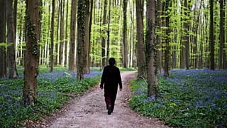 Egy nő sétál a kékcsengőkkel, más néven vad jácintokkal tarkított ösvényen a Hallerbos erdőben, Brüsszeltől délre, Belgiumban, 2025. április 22-én.
