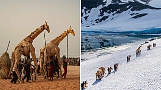 Las manadas de marionetas de tamaño natural llegan al Círculo Polar Ártico y ponen fin a un viaje de 20.000 km para llamar la atención sobre el cambio climático.